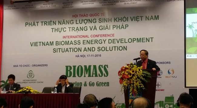 Hội thảo năng lượng sinh khối ở Việt Nam